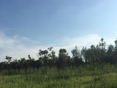 -汉长安城未央宫国家考古遗址公园