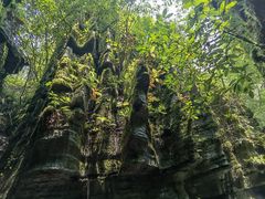 -梭布垭石林景区