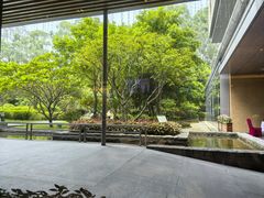 -南宁荔园维景国际酒店·荔园中餐厅