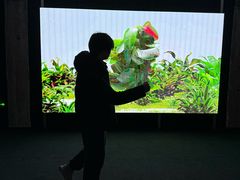 -现代汽车文化中心 Hyundai Motorstudio Beijing