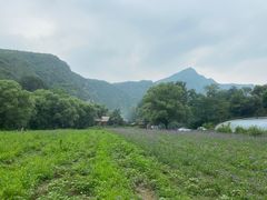 -京北渔家傲