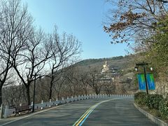 -句容茅山景区