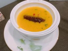 金汤南美参-双子楼大酒店(城开国际写字楼店)