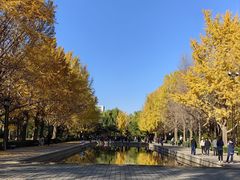 -玲珑塔公园