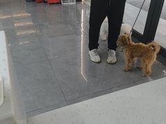-贝利宠物医院·骨科·眼科·肿瘤转诊中心(南坪诊疗中心)