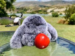 -Fergburger(皇后镇店)