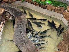 -春盛渔府(牛首山店)