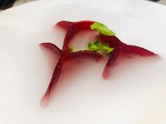 -觀芷隐轩
