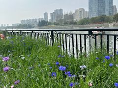 -申德勒加油站西餐厅(太仓店)