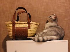 -LOEWE罗意威(北京SKP女装店(一层))