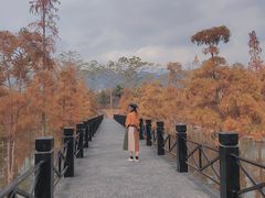 -田野绿世界