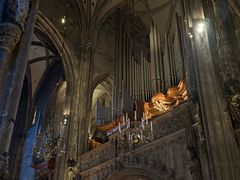-斯蒂芬主教座堂(Stephansdom)