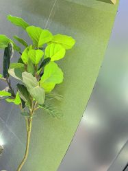 -不迫先生专业男士剪发