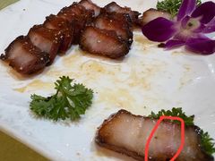 -荔枝柴烧鹅酒家(坦洲分店)