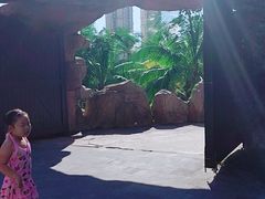 -亚马逊丛林水乐园