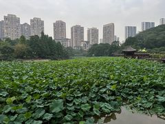 -龙头寺公园