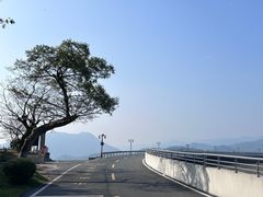 -江南天池