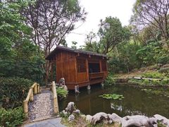 -深圳国际园林花卉博览园