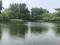 -溱湖国家湿地公园