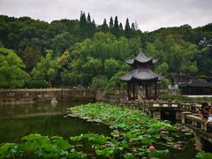 -忠山公园