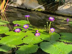 -国家植物园南园