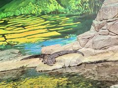 -上海海洋水族馆