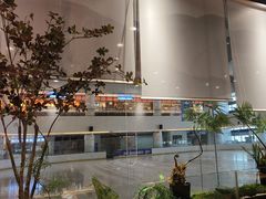 -吉庆莲年有鱼炭烤鱼(苏宁广场店)