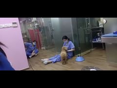 -哆趣宠物医院·眼科·内镜·急重症转诊中心(上海店)