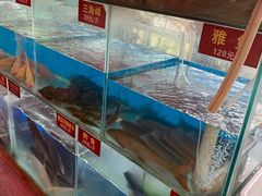 -鲜椒鱼·雅安地标性美食