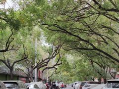 -中央广播电视总台(光华路办公区)