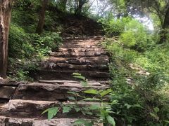 -北京上方山国家森林公园