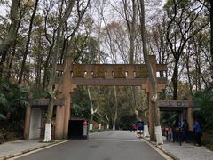 -灵谷景区