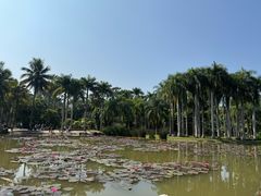-中国科学院西双版纳热带植物园