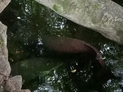 -青青世界