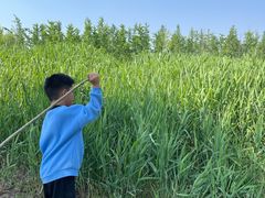 -汉长安城未央宫国家考古遗址公园