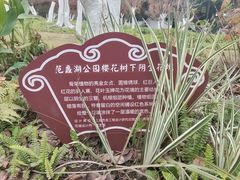 -范蠡湖公园