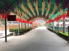 -汕尾铜鼎山旅游区