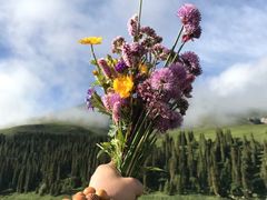 -渔公馆·川菜馆·家宴·生日宴(大地中央广场店)