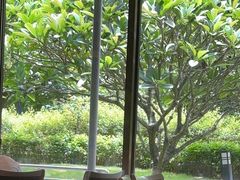 -南宁荔园维景国际酒店·荔园中餐厅