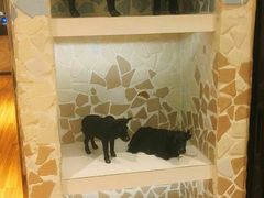 -斗牛士牛排餐厅(嘉里汇店)