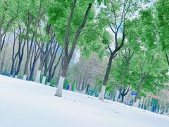 -西北湖绿化广场