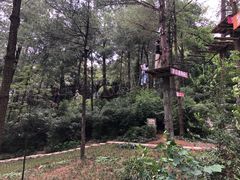 -梦幻奥陶纪景区