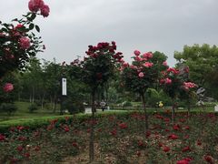 -堤角公园