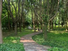 -同里国家湿地公园