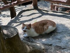 -狼牙山风景区