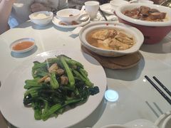-老广酒楼(樱花店)