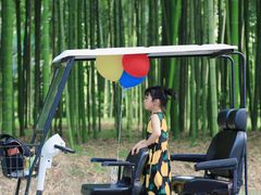 -黄海国家森林公园