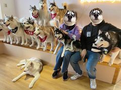 -Husky Go! 哈士奇体验馆·宠物咖啡厅狗咖