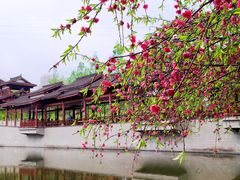 -重庆彩云湖湿地公园
