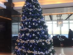 -上海龙之梦万丽酒店